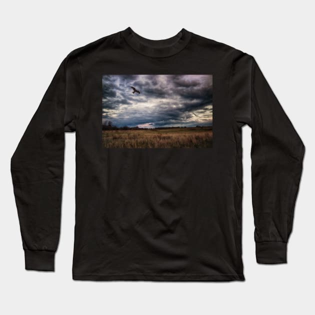 Peace in The Storm Long Sleeve T-Shirt by InspiraImage